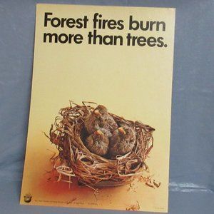 Vtg 1970 Forest Service Smokey Bear Poster Birds